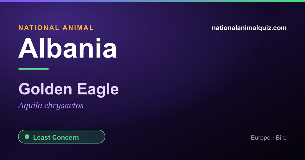 Albania national animal — the Golden Eagle (Aquila chrysaetos)