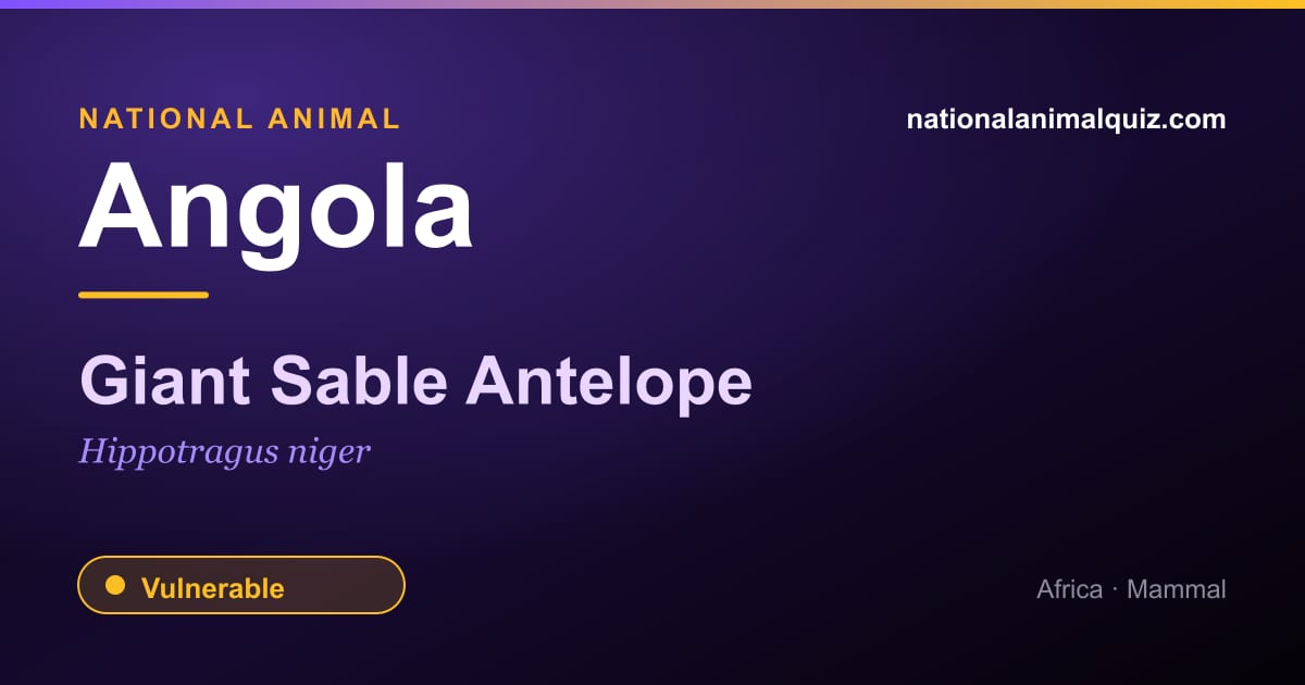 Angola national animal — the Giant Sable Antelope (Hippotragus niger)