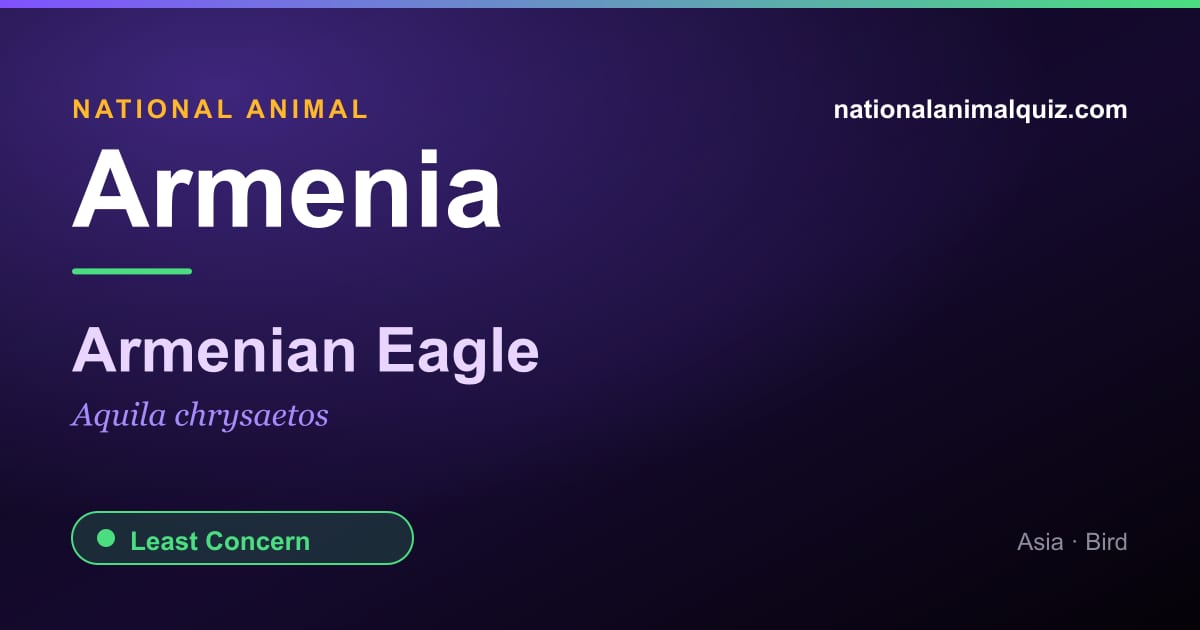 Armenia national animal — the Armenian Eagle (Aquila chrysaetos)