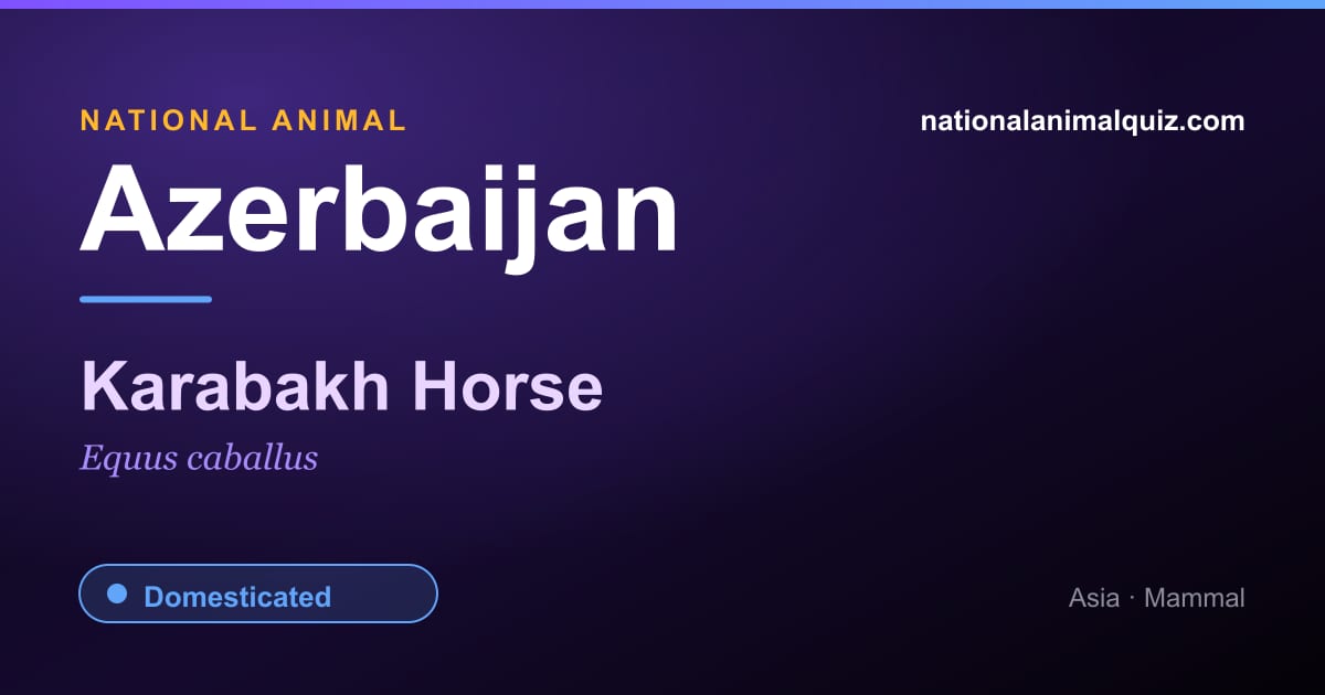 Azerbaijan national animal — the Karabakh Horse (Equus caballus)