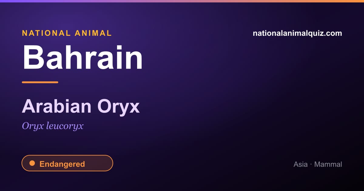 Bahrain national animal — the Arabian Oryx (Oryx leucoryx)