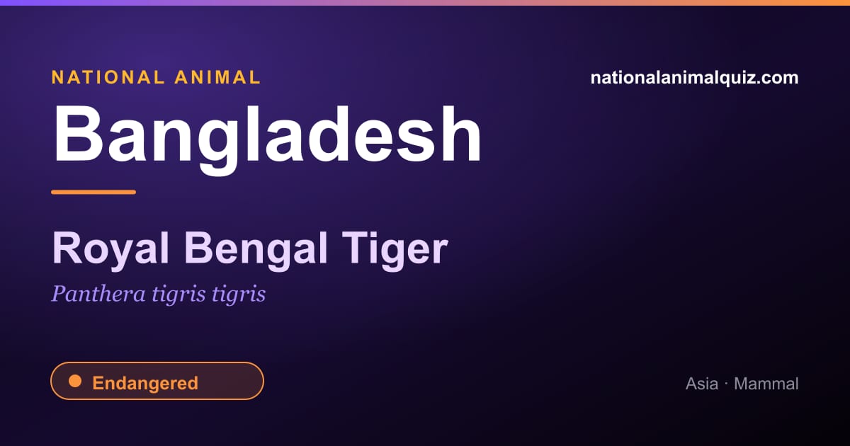 Bangladesh national animal — the Royal Bengal Tiger (Panthera tigris tigris)