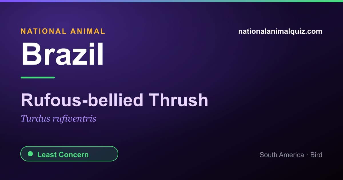 Brazil national animal — the Rufous-bellied Thrush (Turdus rufiventris)