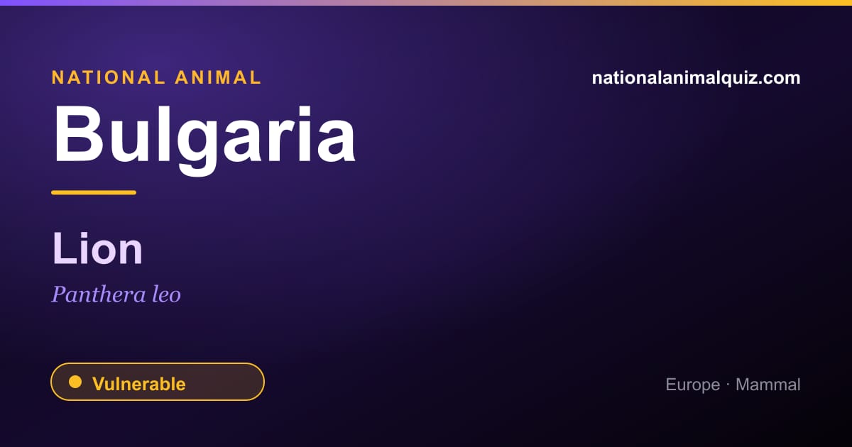Bulgaria national animal — the Lion (Panthera leo)