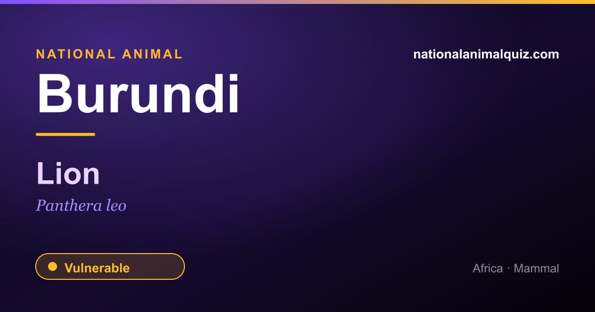 Burundi national animal — the Lion (Panthera leo)