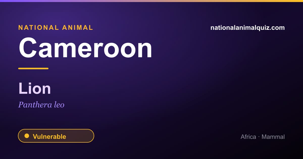 Cameroon national animal — the Lion (Panthera leo)