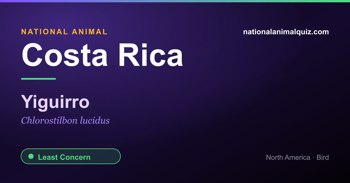 Costa Rica national animal — the Yiguirro (Chlorostilbon lucidus)