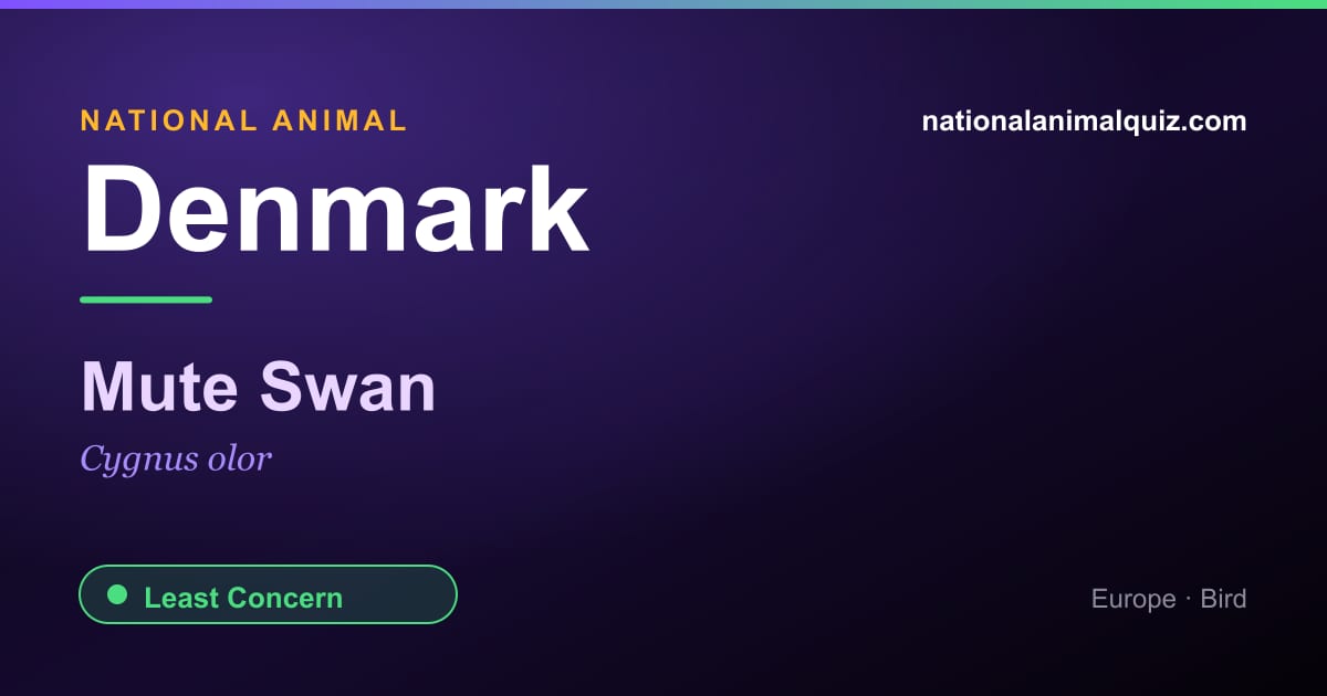 Denmark national animal — the Mute Swan (Cygnus olor)