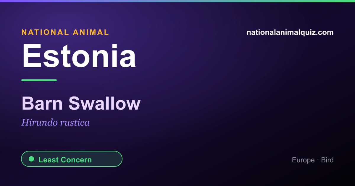 Estonia national animal — the Barn Swallow (Hirundo rustica)