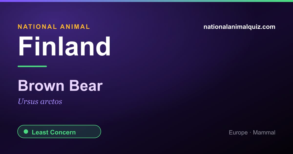 Finland national animal — the Brown Bear (Ursus arctos)