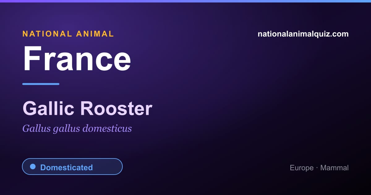 France national animal — the Gallic Rooster (Gallus gallus domesticus)
