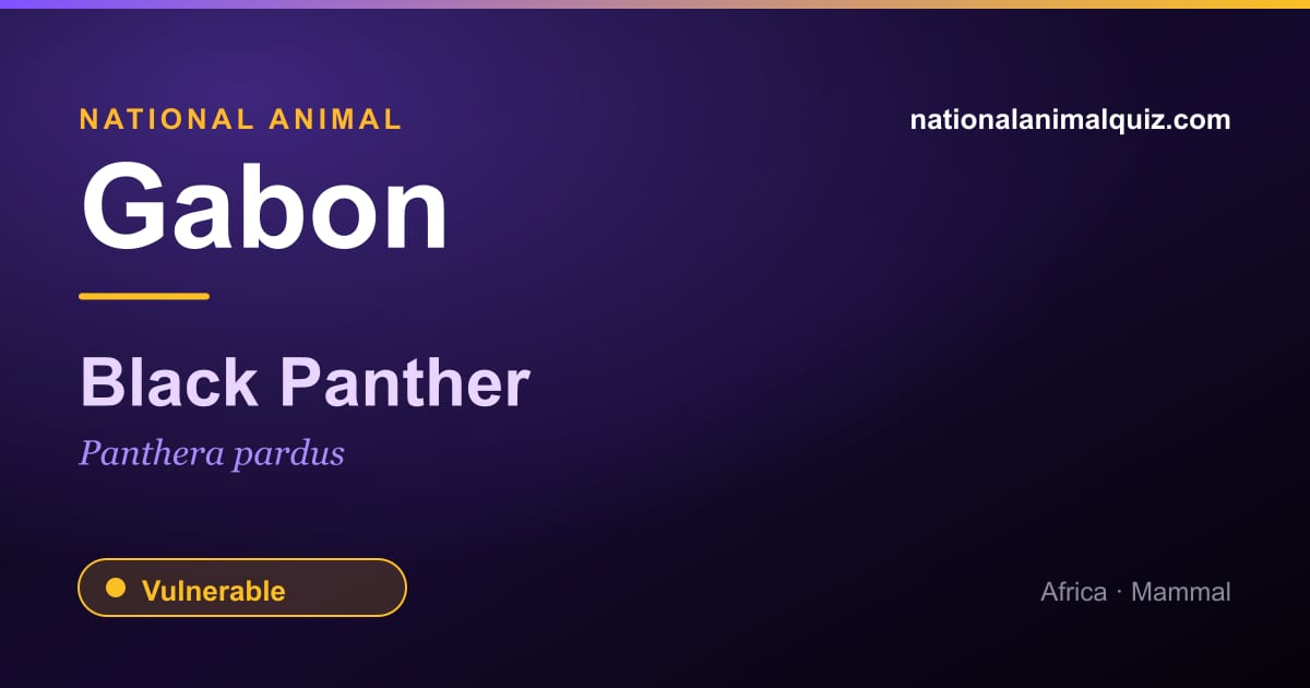 Gabon national animal — the Black Panther (Panthera pardus)