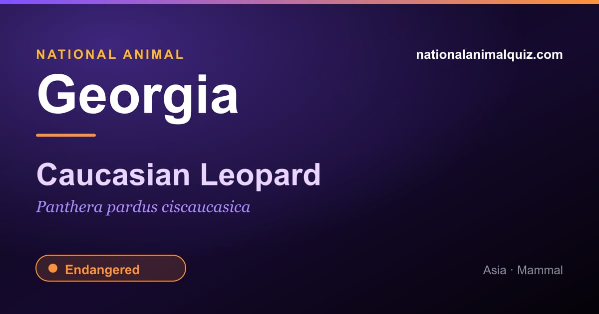 Georgia national animal — the Caucasian Leopard (Panthera pardus ciscaucasica)