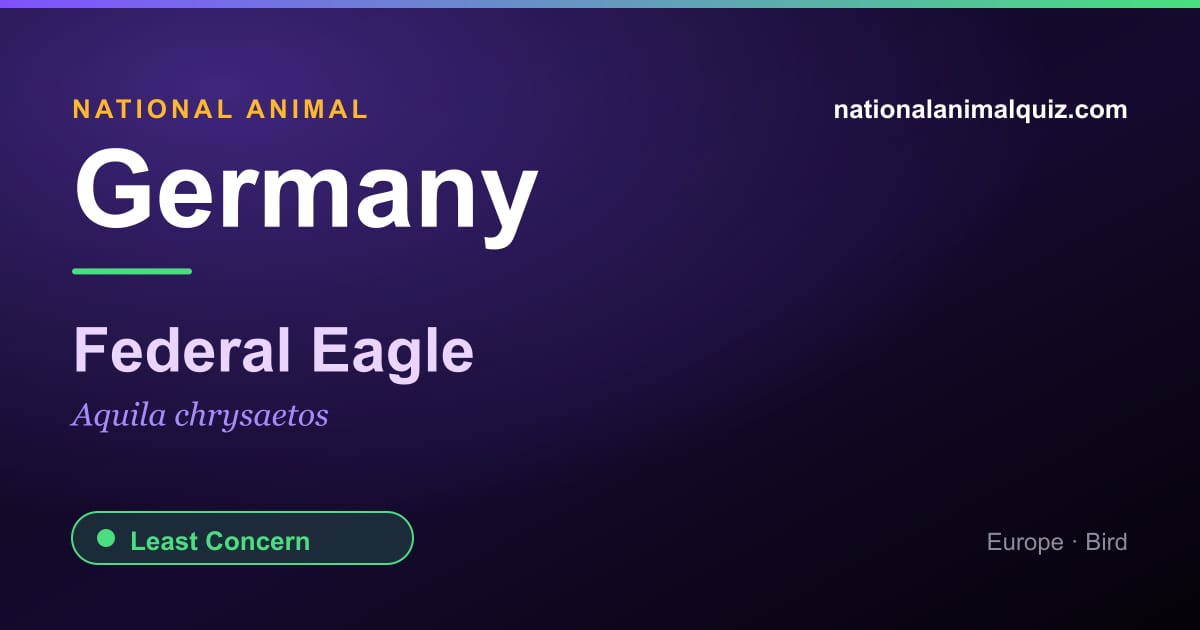 Germany national animal — the Federal Eagle (Aquila chrysaetos)