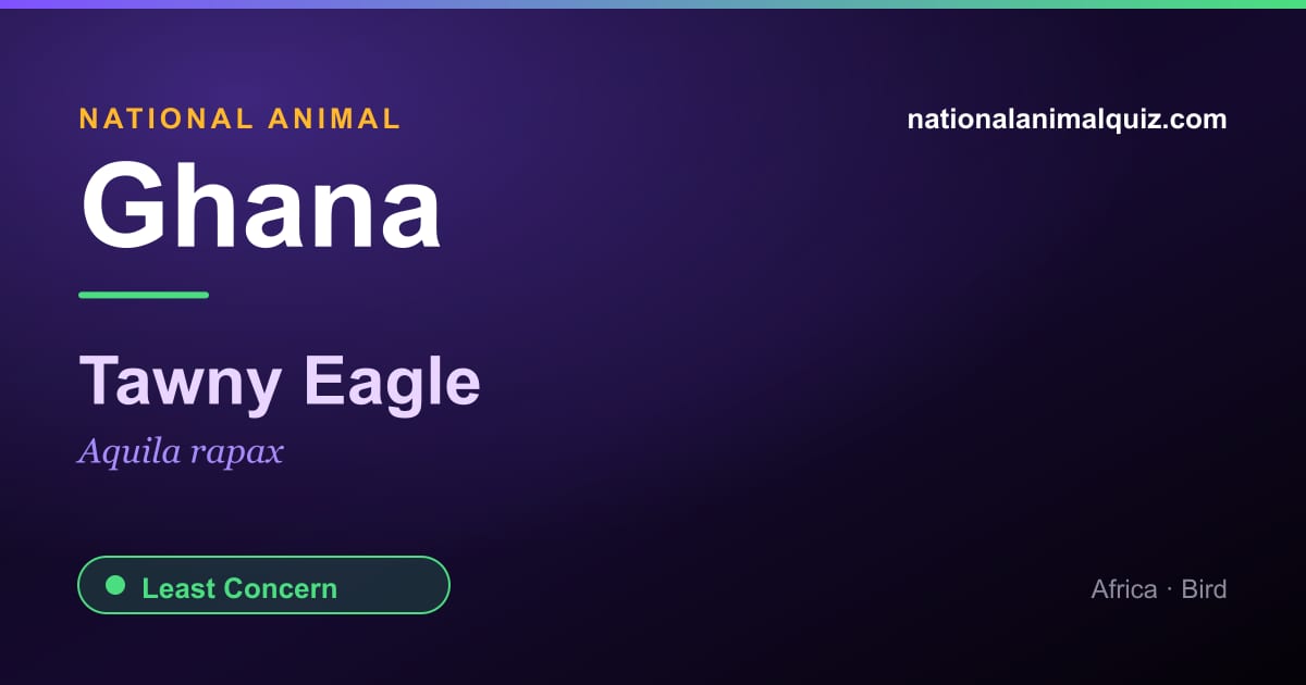 Ghana national animal — the Tawny Eagle (Aquila rapax)