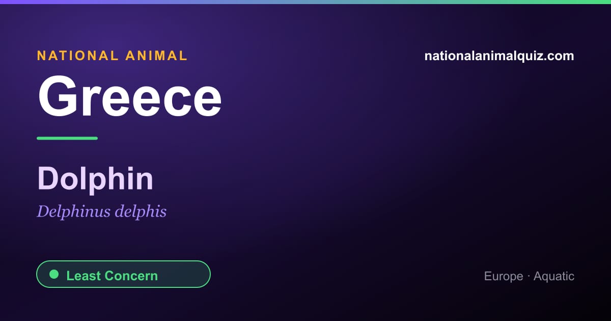 Greece national animal — the Dolphin (Delphinus delphis)