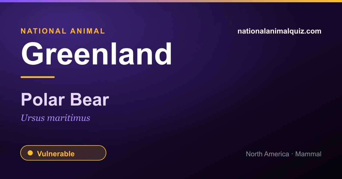 Greenland national animal — the Polar Bear (Ursus maritimus)