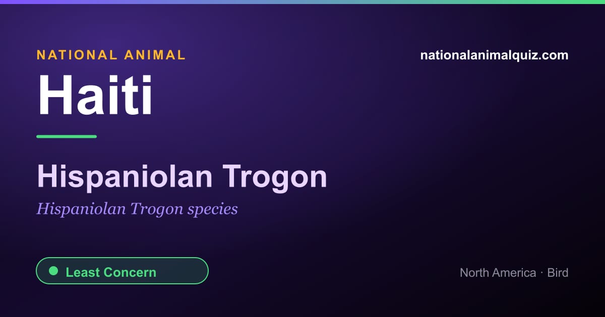 Haiti national animal — the Hispaniolan Trogon (Hispaniolan Trogon species)
