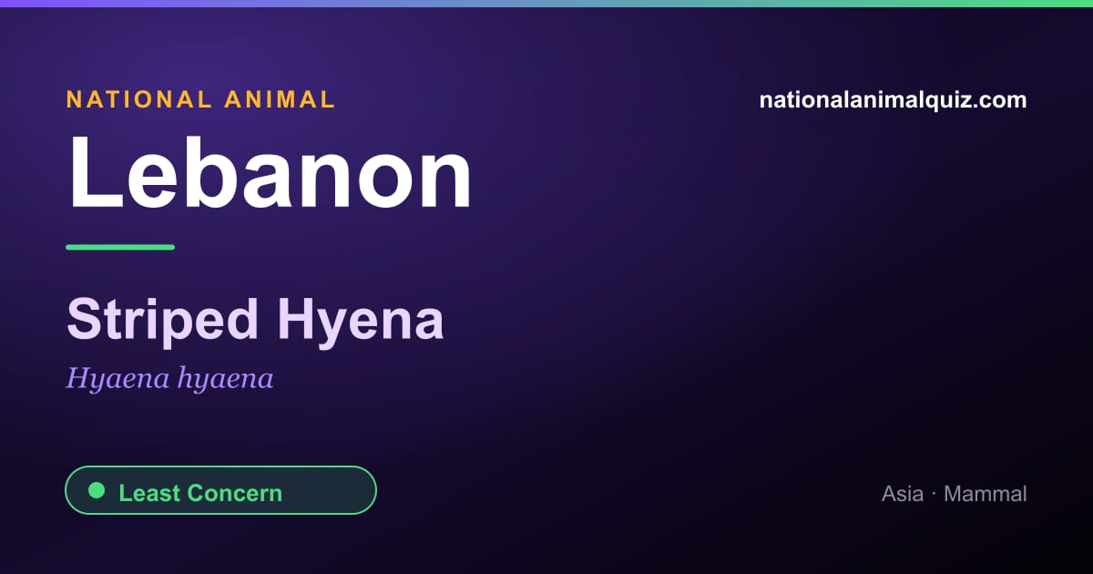 Lebanon national animal — the Striped Hyena (Hyaena hyaena)