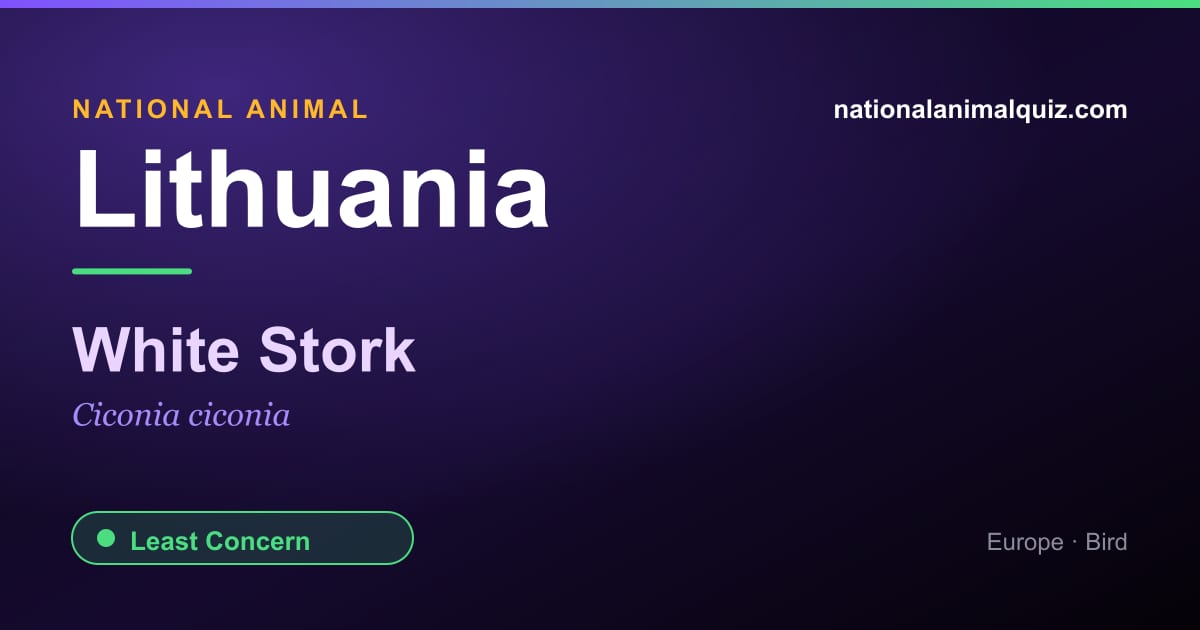 Lithuania national animal — the White Stork (Ciconia ciconia)