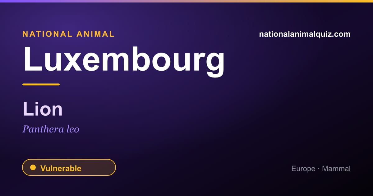 Luxembourg national animal — the Lion (Panthera leo)