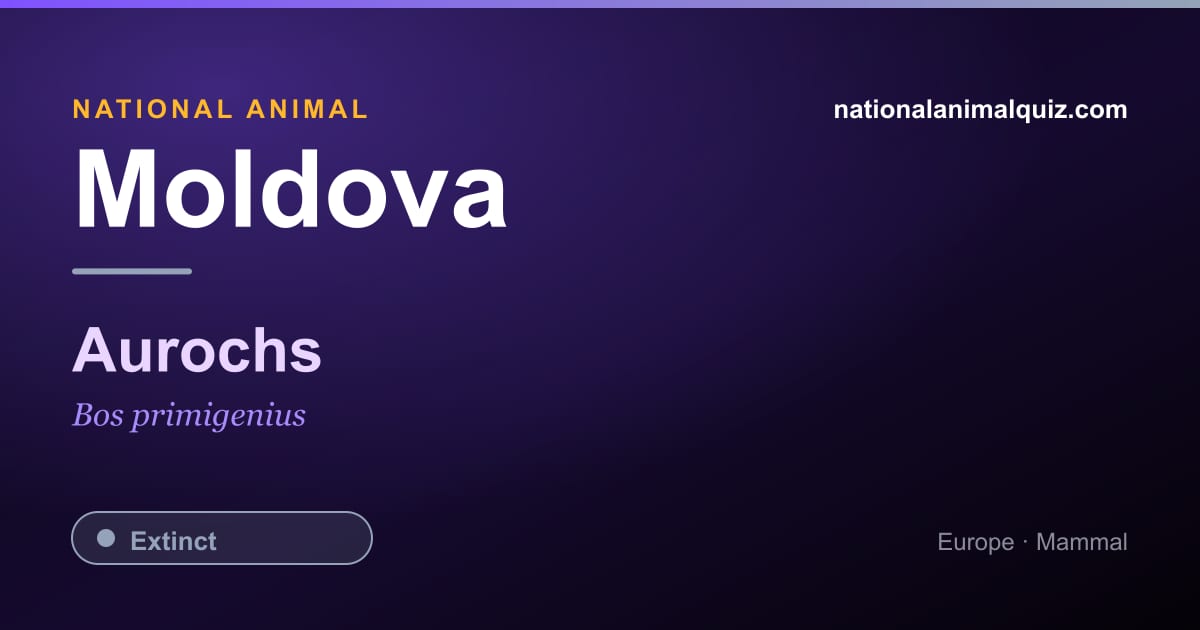 Moldova national animal — the Aurochs (Bos primigenius)
