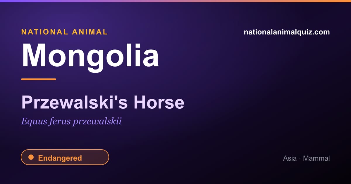 Mongolia national animal — the Przewalski's Horse (Equus ferus przewalskii)