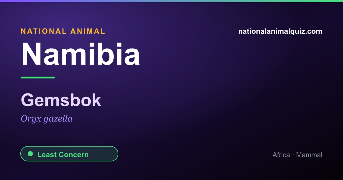 Namibia national animal — the Gemsbok (Oryx gazella)