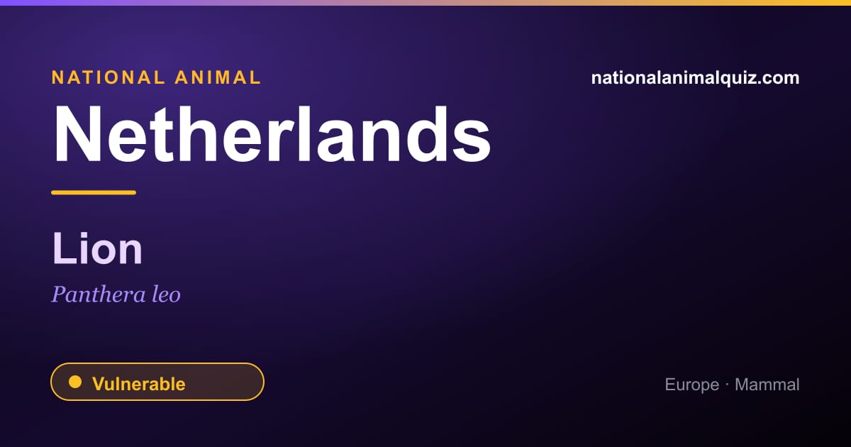 Netherlands national animal — the Lion (Panthera leo)