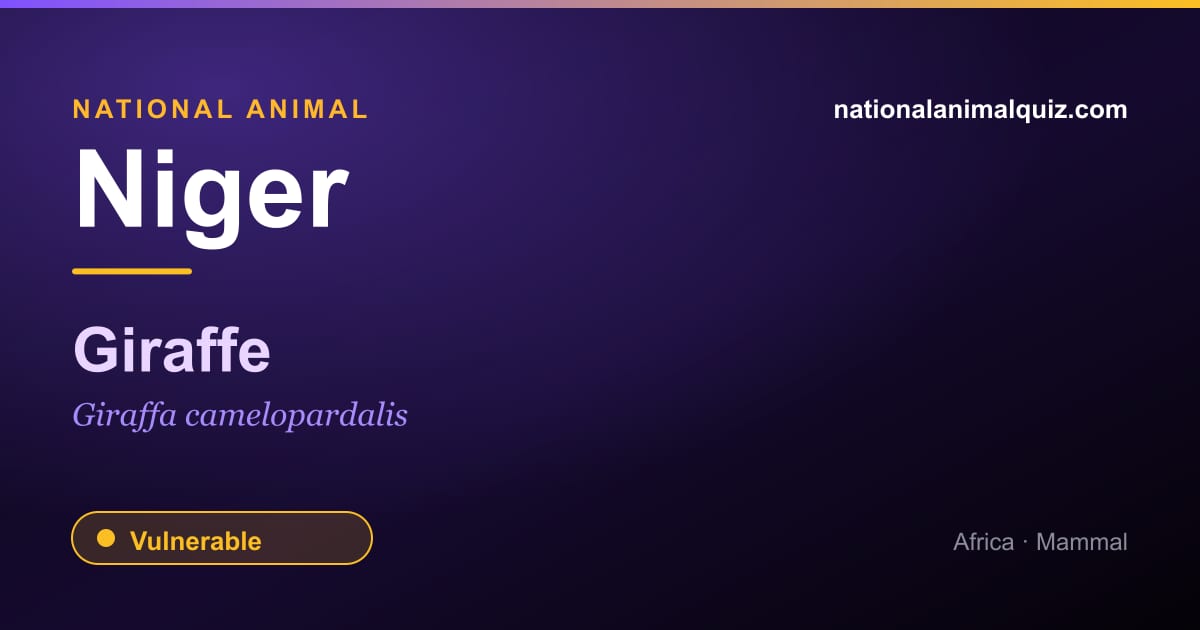 Niger national animal — the Giraffe (Giraffa camelopardalis)