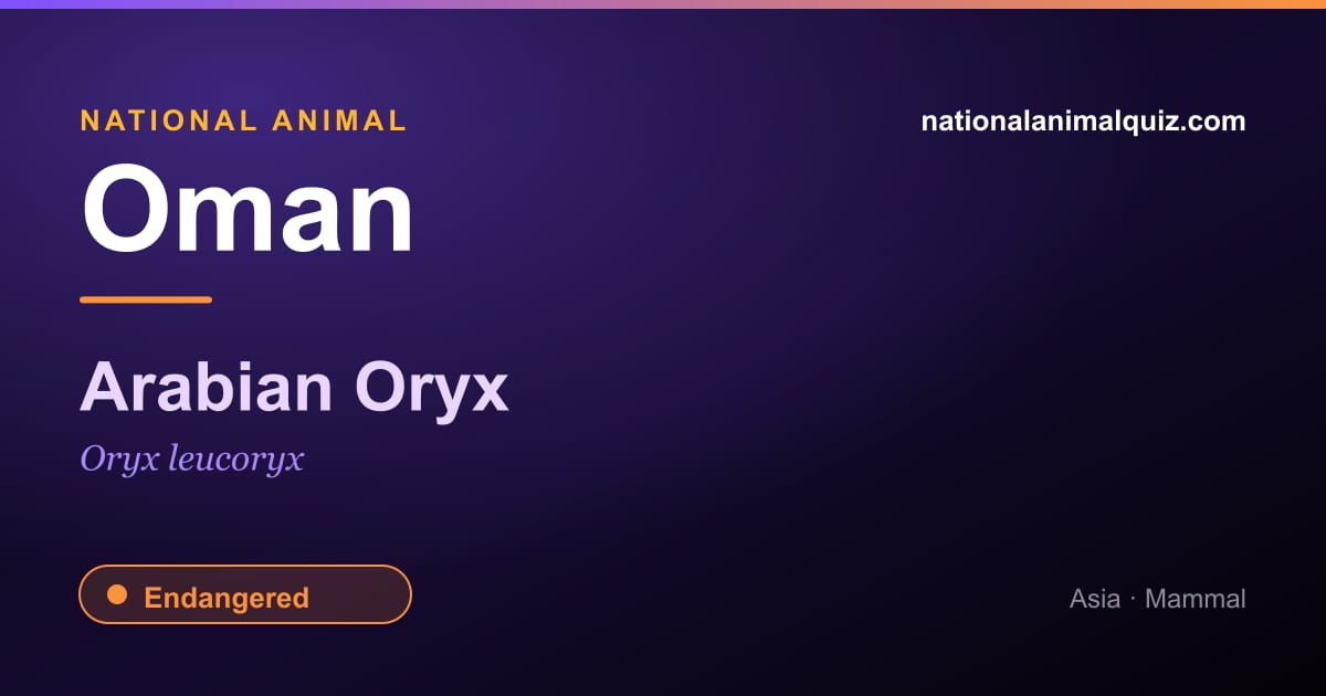 Oman national animal — the Arabian Oryx (Oryx leucoryx)