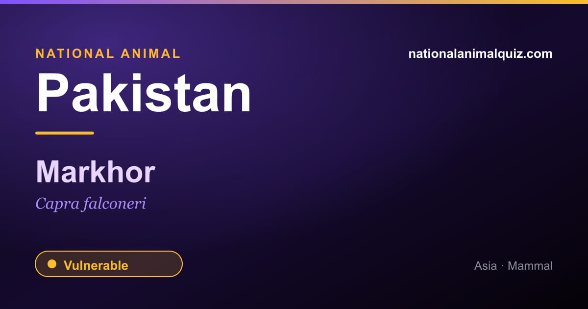Pakistan national animal — the Markhor (Capra falconeri)