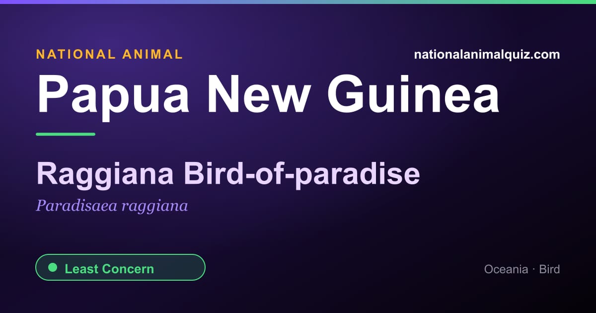 Papua New Guinea national animal — the Raggiana Bird-of-paradise (Paradisaea raggiana)