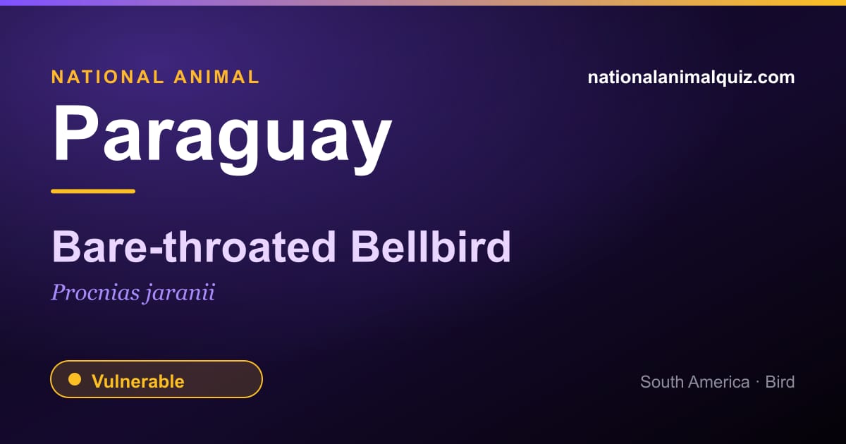 Paraguay national animal — the Bare-throated Bellbird (Procnias jaranii)