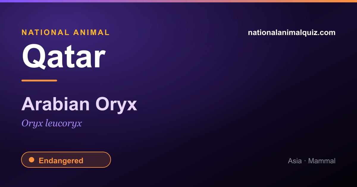 Qatar national animal — the Arabian Oryx (Oryx leucoryx)