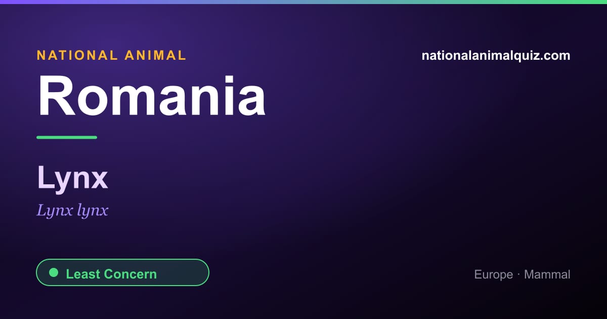 Romania national animal — the Lynx (Lynx lynx)