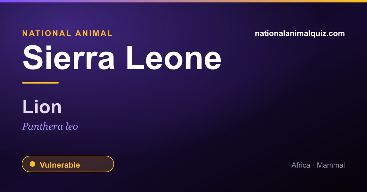 Sierra Leone national animal — the Lion (Panthera leo)