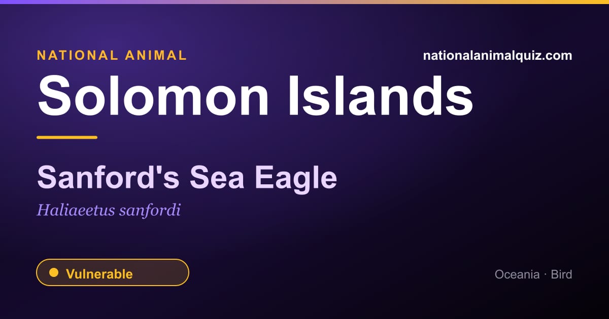 Solomon Islands national animal — the Sanford's Sea Eagle (Haliaeetus sanfordi)