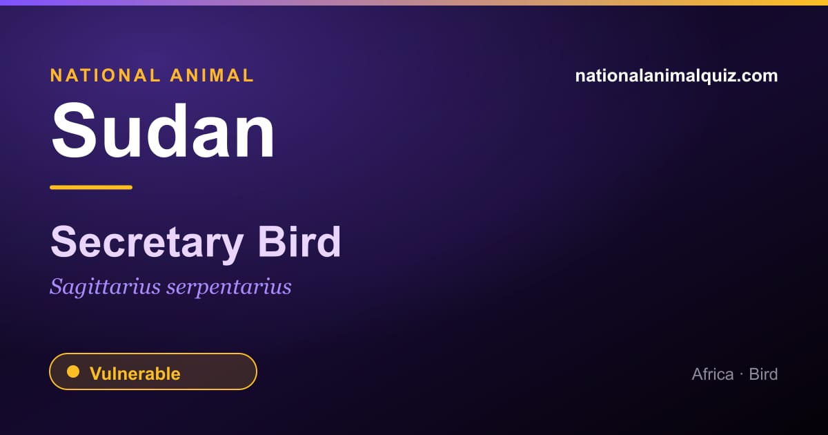 Sudan national animal — the Secretary Bird (Sagittarius serpentarius)