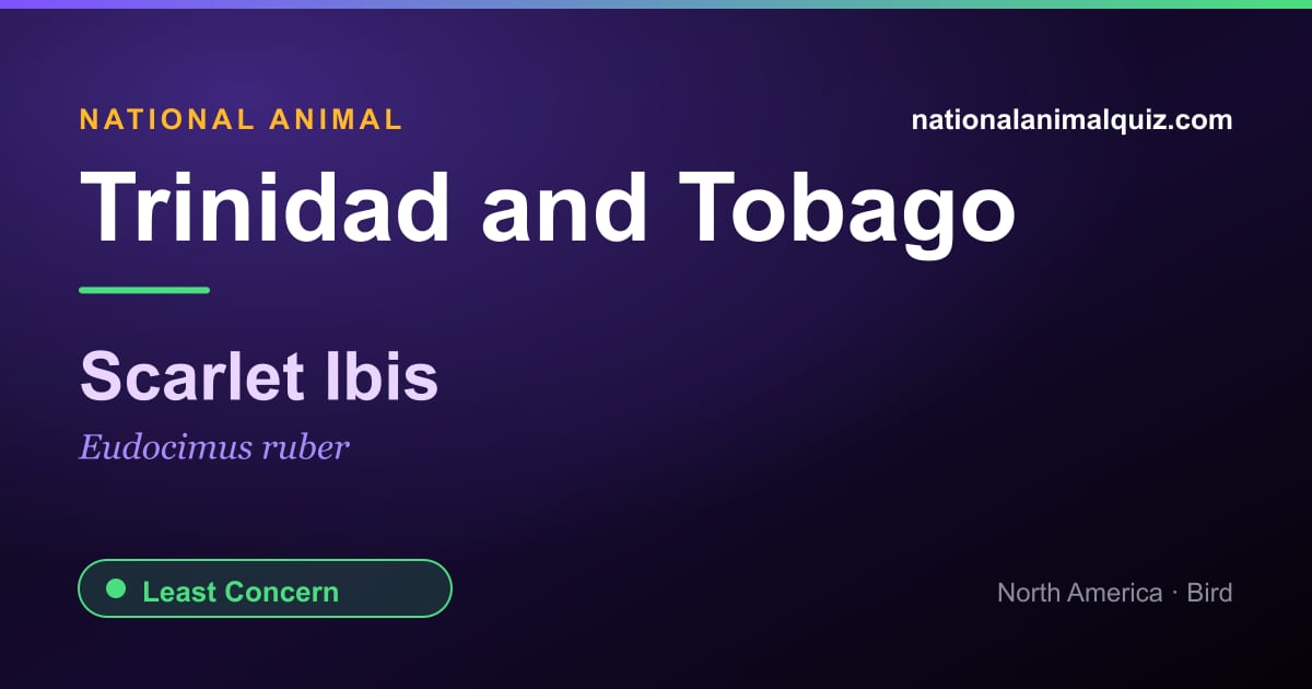 Trinidad and Tobago national animal — the Scarlet Ibis (Eudocimus ruber)