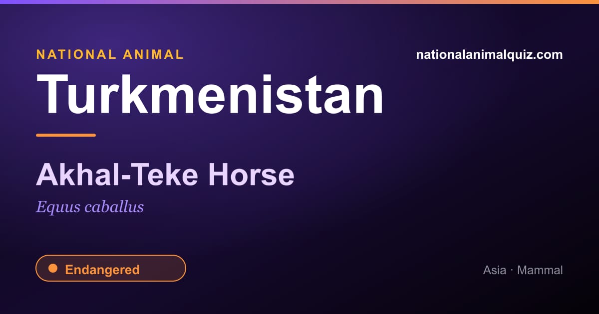 Turkmenistan national animal — the Akhal-Teke Horse (Equus caballus)