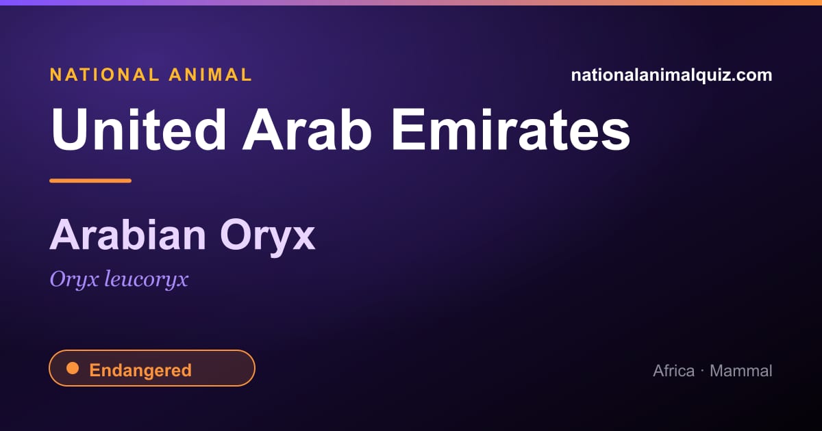 United Arab Emirates national animal — the Arabian Oryx (Oryx leucoryx)