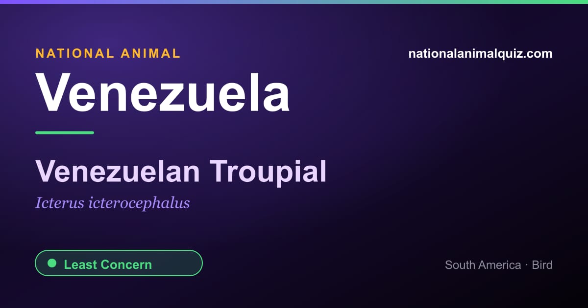 Venezuela national animal — the Venezuelan Troupial (Icterus icterocephalus)
